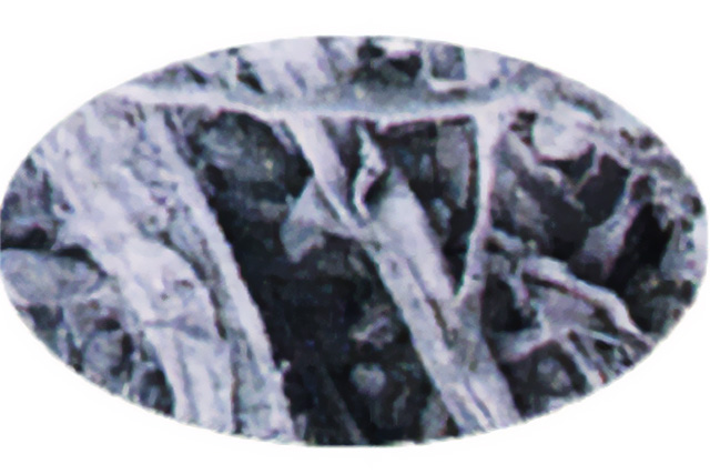 cellulosefiber04.jpg